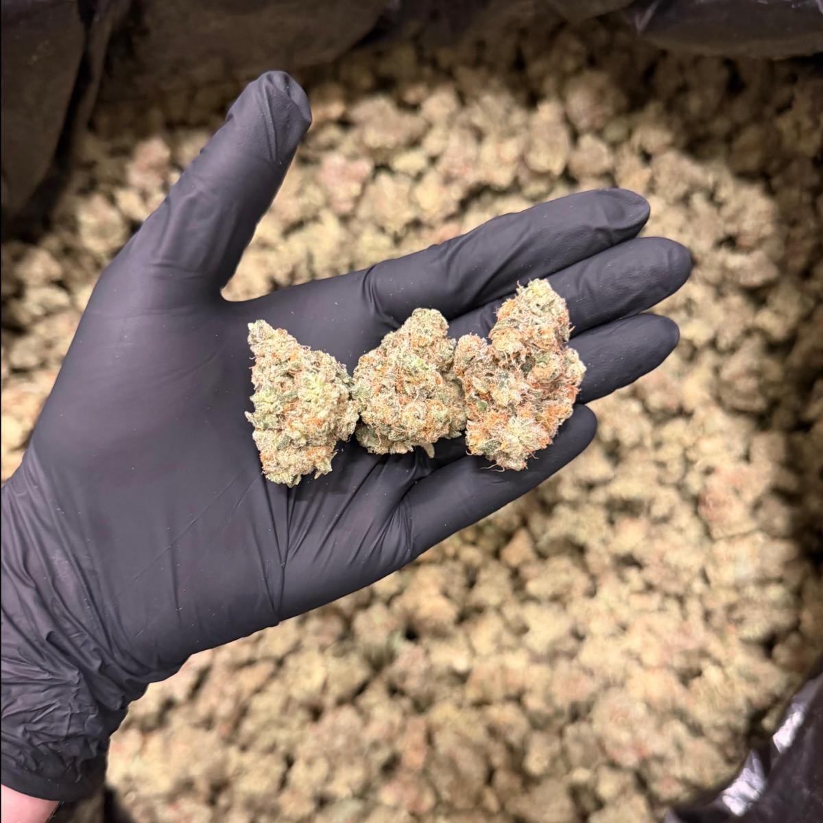 Crazy Cookies