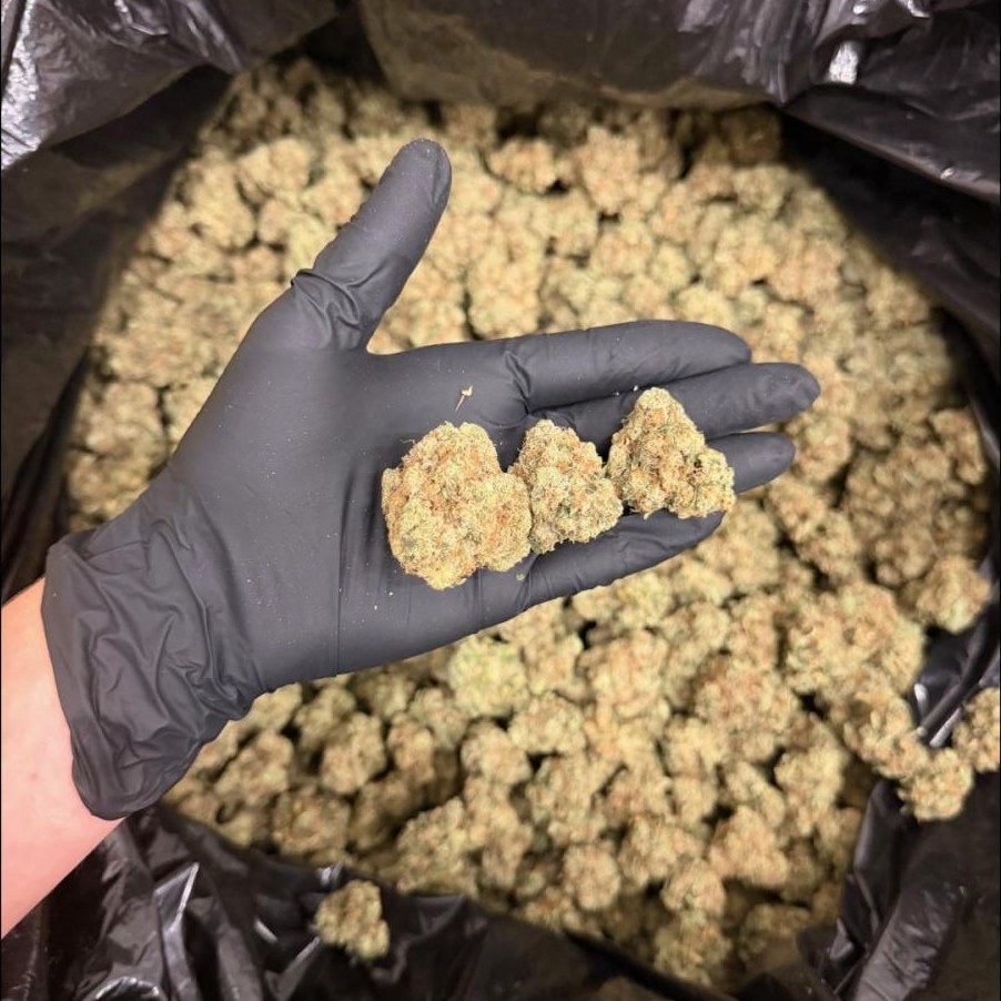 Ghost Train Haze