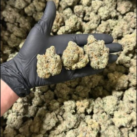 Grape Breath